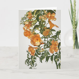 Trumpet Vine Watercolor Kort