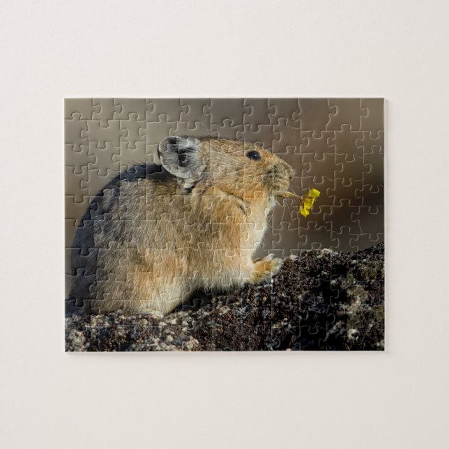 Trumpeta soluppgången pussel (Horisontell)