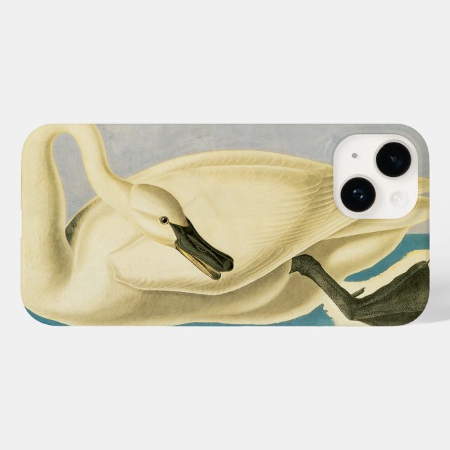 Trumpetarsvan av John James Audubon, Vintagefågel (Baksida (horisontell))