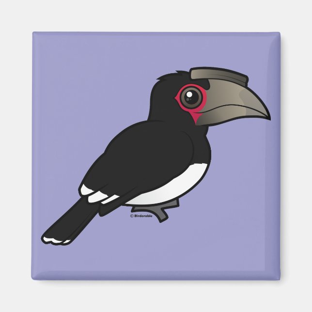 Trumpeter Hornbill Magnet (Framsidan)