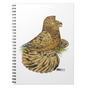 Trumpeter Pigeon Almond Anteckningsbok Med Spiral