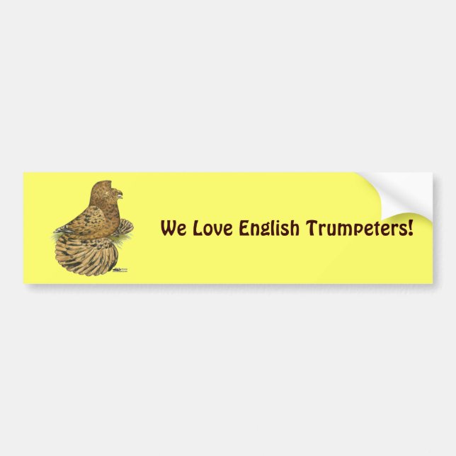 Trumpeter Pigeon Almond Bildekal (Framsidan)