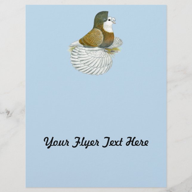 Trumpeter Pigeon AOC Baldhead Reklamblad (Framsidan)