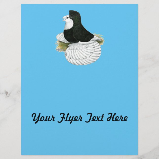 Trumpeter Pigeon Black Baldhead Reklamblad (Framsidan)