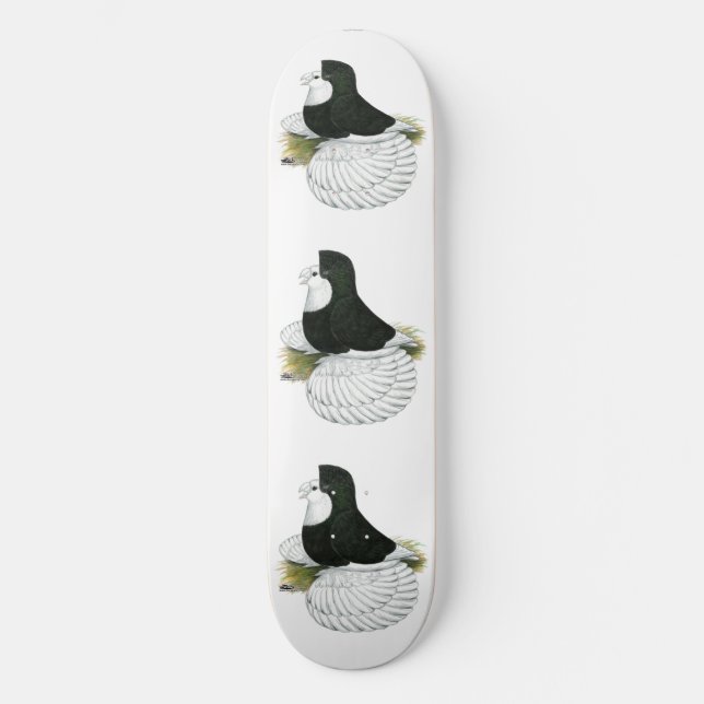 Trumpeter Pigeon Black Baldhead Skateboard Bräda 20,5 Cm (Framsida)