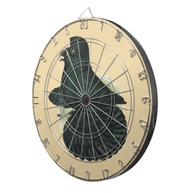 Trumpeter Pigeon Black Piltavla (Högra Framsidan)