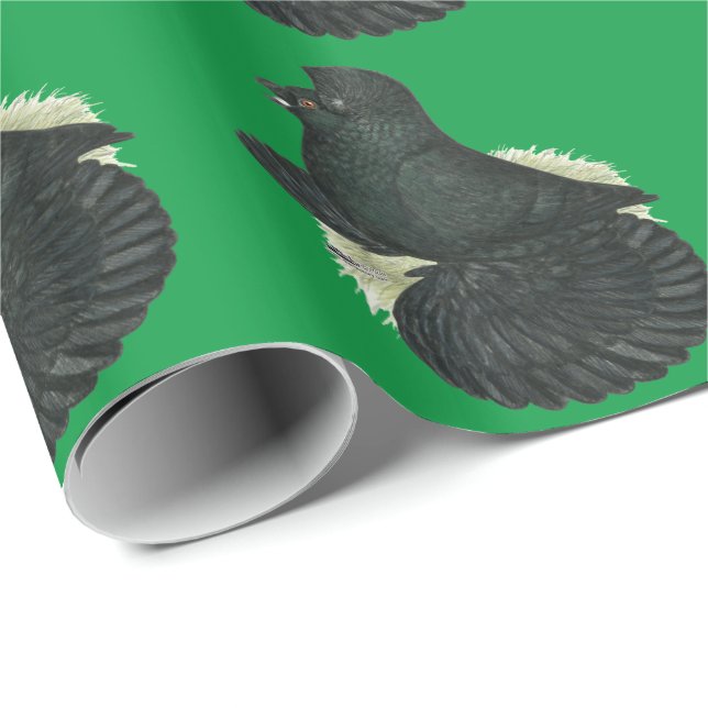 Trumpeter Pigeon Black Presentpapper (Rullad Hörn)