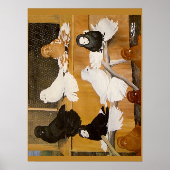 Trumpeter Pigeon Champions Poster (Framsidan)