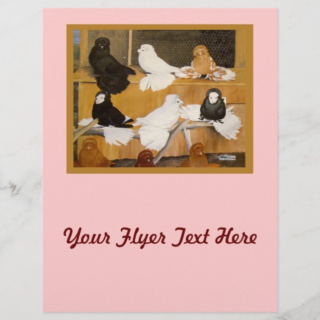Trumpeter Pigeon Champions Reklamblad (Framsidan)
