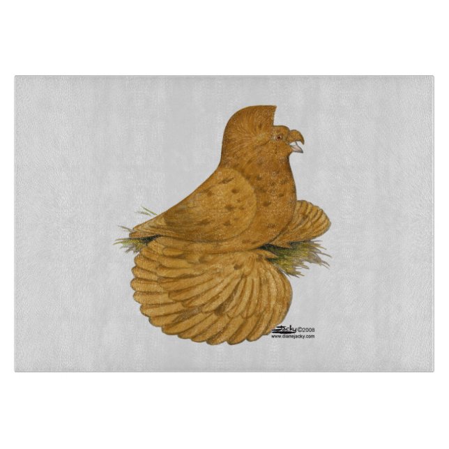 Trumpeter Pigeon Deroy (Framsidan)