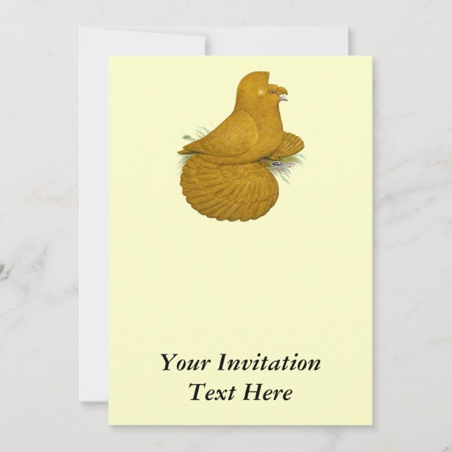 Trumpeter Pigeon Gult Self Inbjudningar (Framsida)