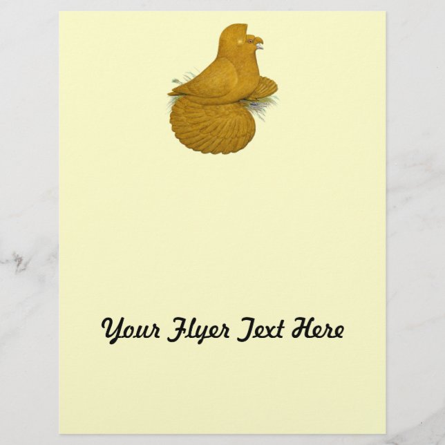 Trumpeter Pigeon Gult Self Reklamblad (Framsidan)