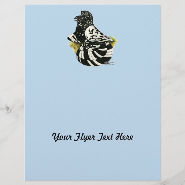 Trumpeter Pigeon Mörk Stänk Reklamblad (Framsidan)