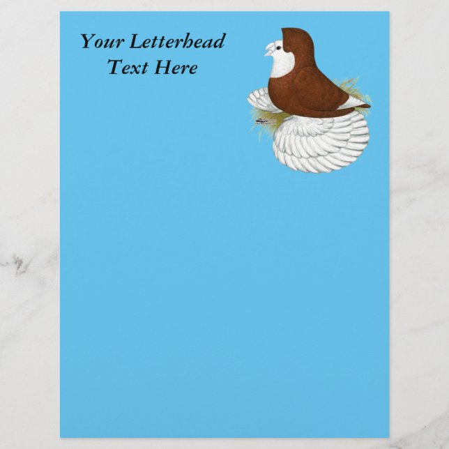 Trumpeter Pigeon Red Baldhead (Framsida)