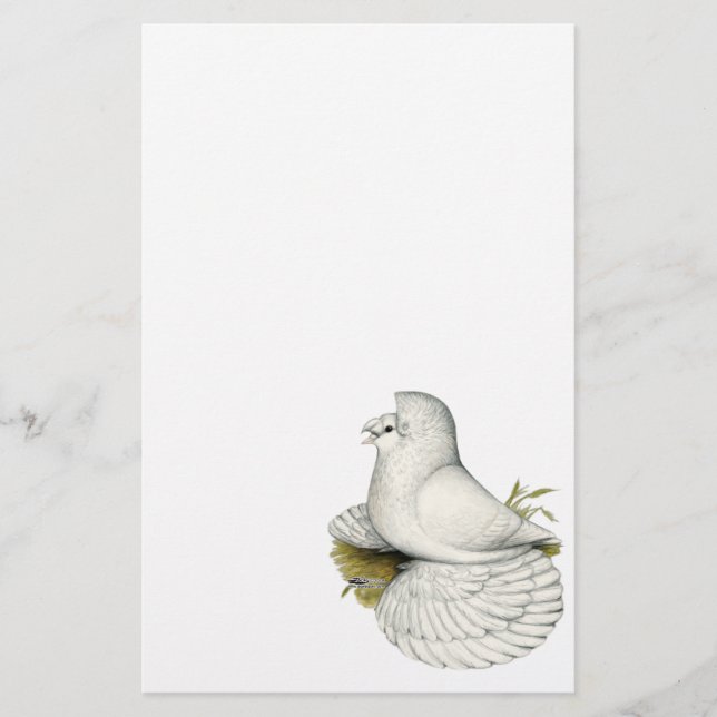 Trumpeter Pigeon White (Framsida)