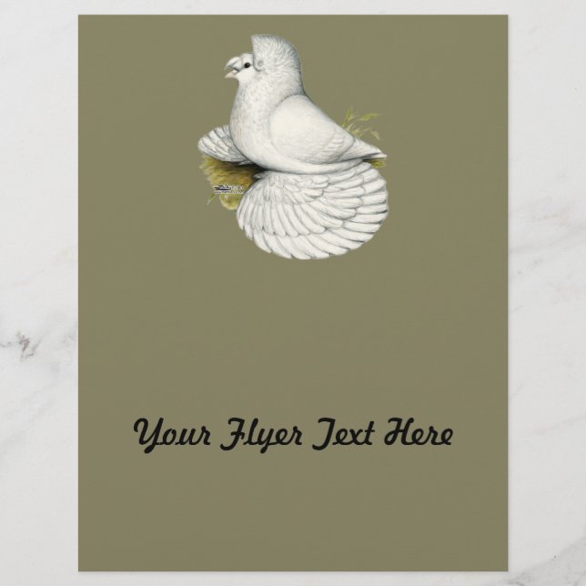 Trumpeter Pigeon White Reklamblad (Framsidan)