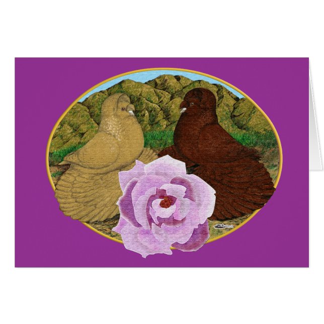 Trumpeter Pigeons och Ro OBS Kort (Framsidan Horizontal)