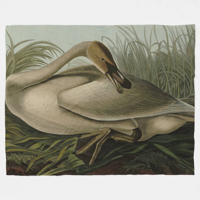 Trumpeter Svan - från Audubon's Birds of America Fleecefilt (Framsidan (Horisontell))