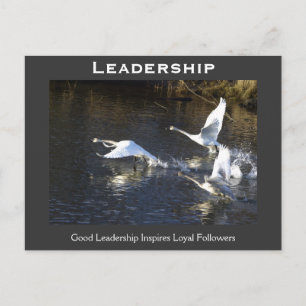 Trumpeter Svanar Motivational Gifts Vykort