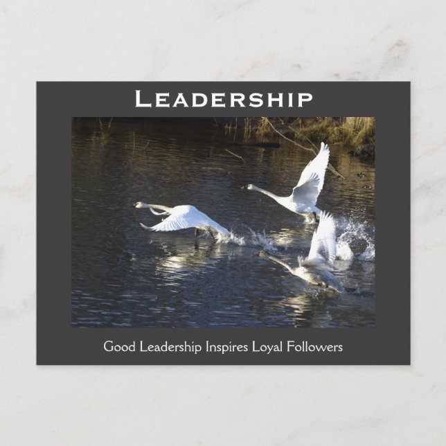 Trumpeter Svanar Motivational Gifts Vykort (Framsida)