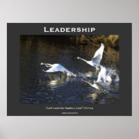 Trumpeter Svanar Motivational Poster