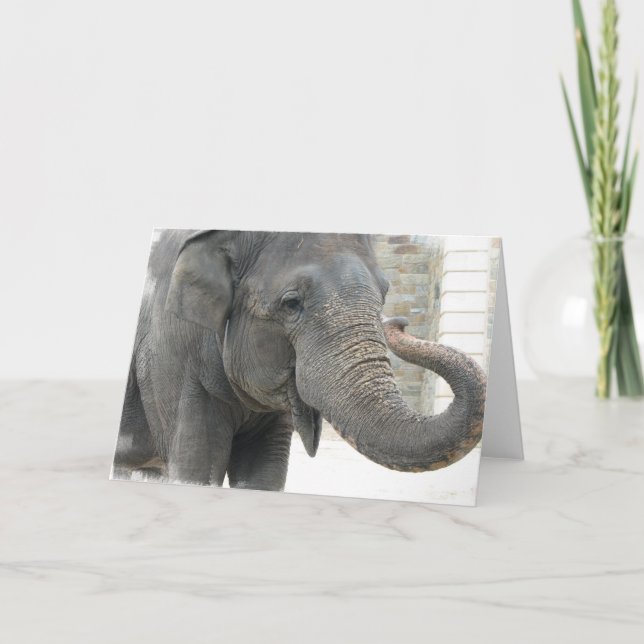 Trumpetera Elephant Greeting Card Kort (Framsida)