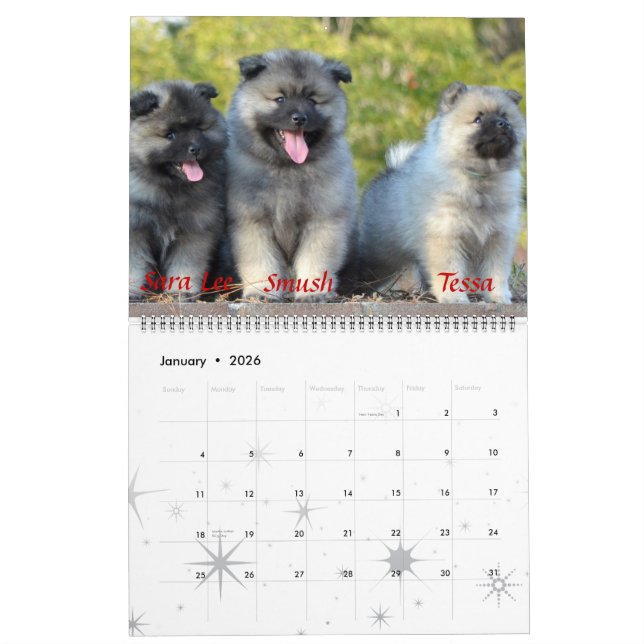 TrumpetKeeshondkalender Kalender (Jan 2026)