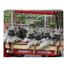 TrumpetKeeshondkalender Kalender