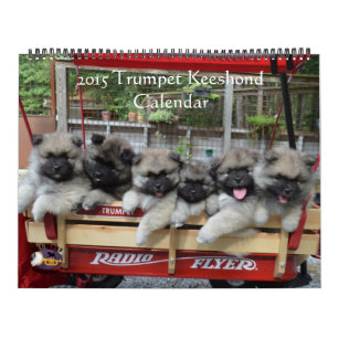 TrumpetKeeshondkalender Kalender
