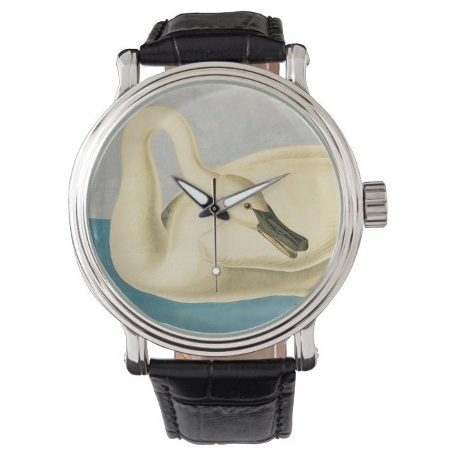 Trumpetsvan av John James Audubon, Vintage Fågel Armbandsur (Framsida)