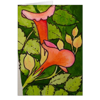 TrumpetVine OBS Kort