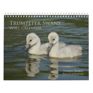 Trumpter Svan Wall Calendar Kalender