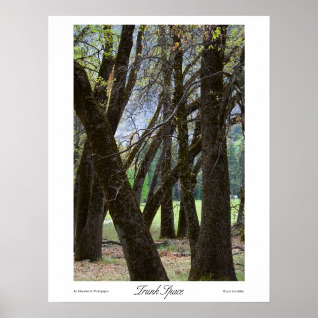 Trunk Space-utskrifter Poster (Framsidan)