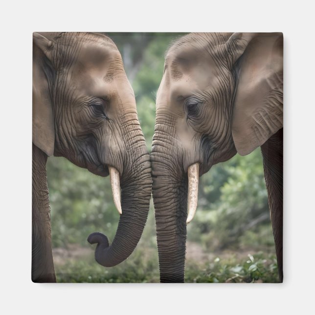 "Trunk to Trunk: A Gentle Elephant Embrace" Magnet (Framsidan)