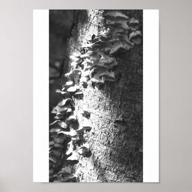 trunkera poster (Framsidan)