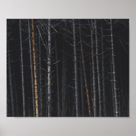Trunkerna silver och guld träd poster
