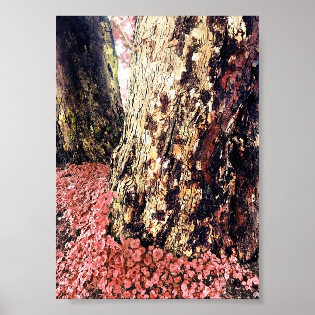 Trunks träd poster (Framsidan)