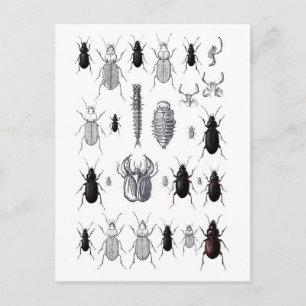 Truppe von alien vykort