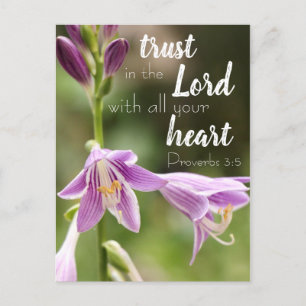 "Trust in Lord" Flower Photo Postcard Vykort