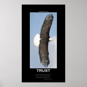 TRUST Örn Motivational Poster