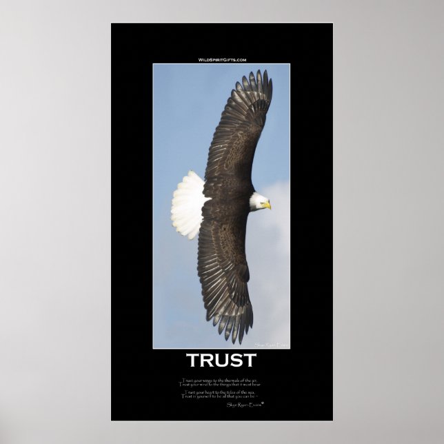 TRUST Örn Motivational Poster (Framsidan)