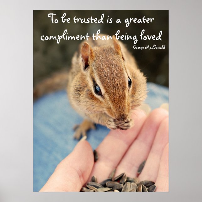 Trusting Chipmunk Poster (Framsidan)