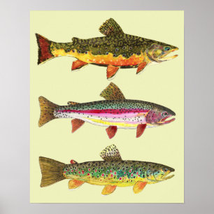 Trut Fishing Poster