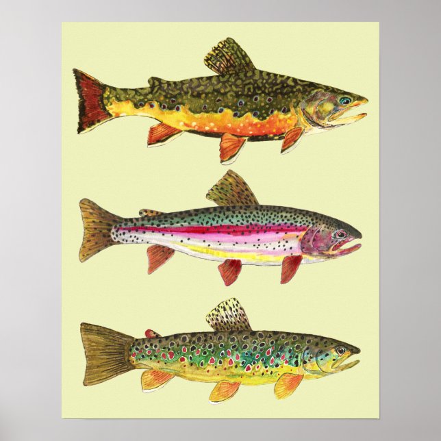 Trut Fishing Poster (Framsidan)