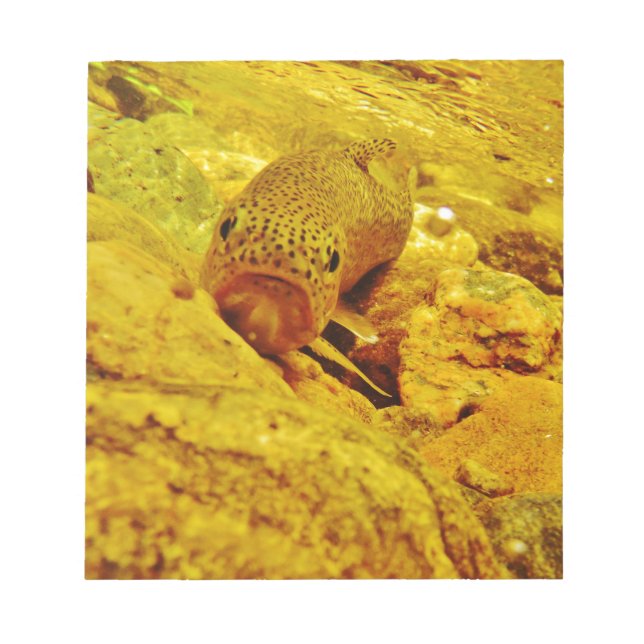 Trut i ström anteckningsblock (Framsida)