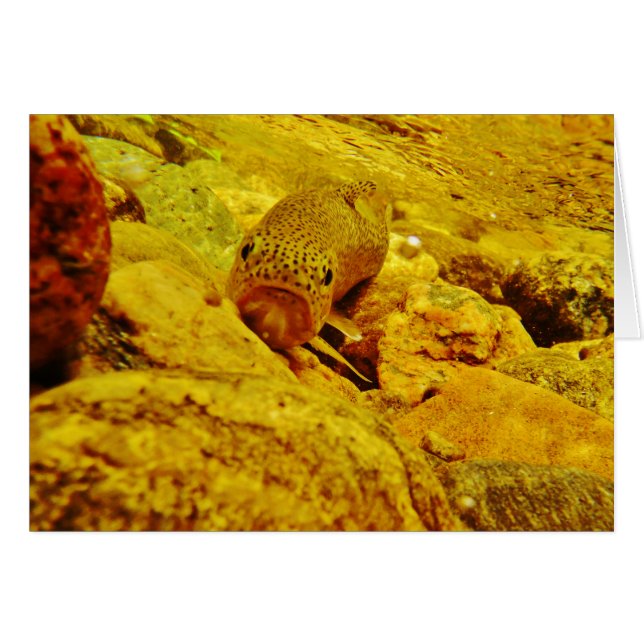 Trut i ström hälsningskort (Framsidan Horizontal)