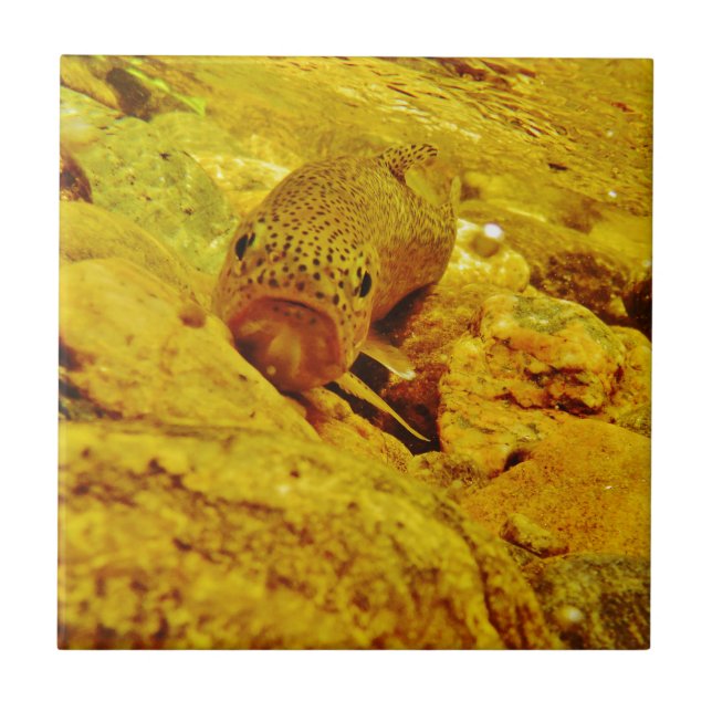 Trut i ström kakelplatta (Framsidan)