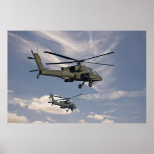 tryck 16x24 av militära helikoptrar
