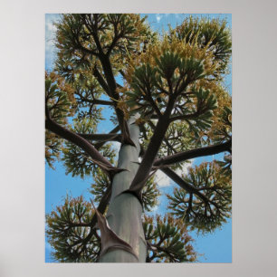 Tryck: Agave Poster