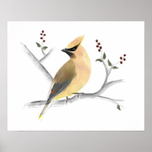 Tryck för affisch för vattenfärgcederträWaxwing